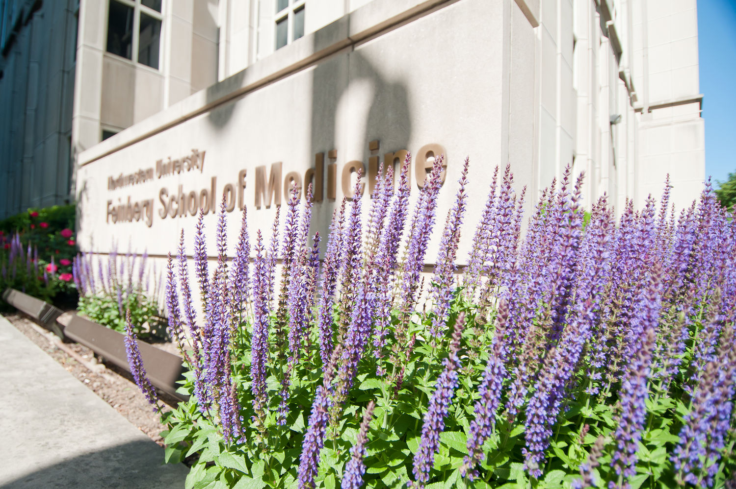 Feinberg signage with flowers