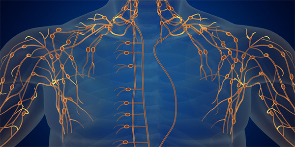 Understanding Molecular Drivers of Lymphedema