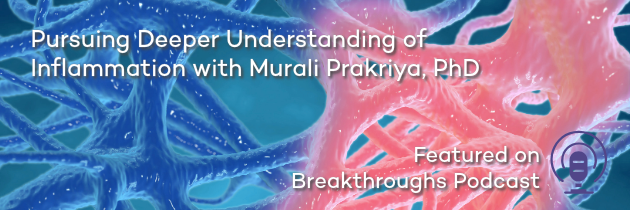 Pursuing Deeper Understanding of Inflammation with Murali Prakriya, PhD