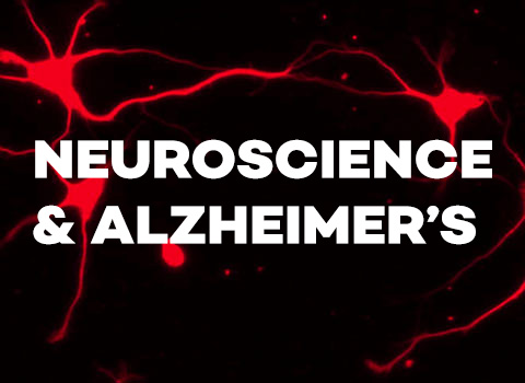 Click to learn more about the Neuroscience & Alzheimer's research focus